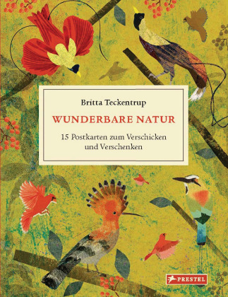 Kniha Wunderbare Natur Britta Teckentrup