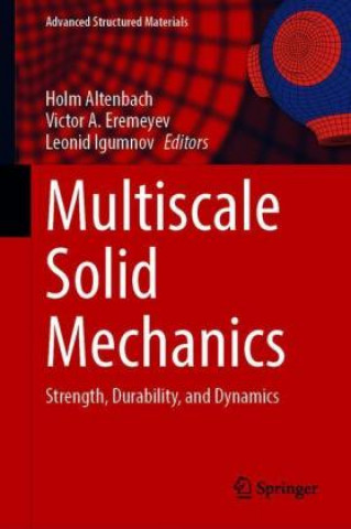Knjiga Multiscale Solid Mechanics Leonid Igumnov