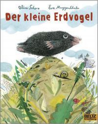 Kniha Der kleine Erdvogel Eva Muggenthaler
