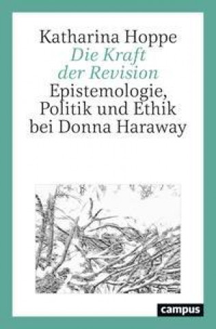 Книга Die Kraft der Revision Katharina Hoppe