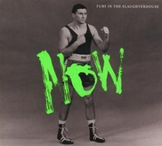 Audio NOW Fury in the Slaughterhouse