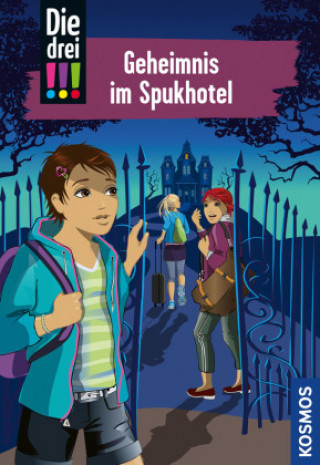 Knjiga Die drei !!!, 81, Geheimnis im Spukhotel (drei Ausrufezeichen) Ina Biber