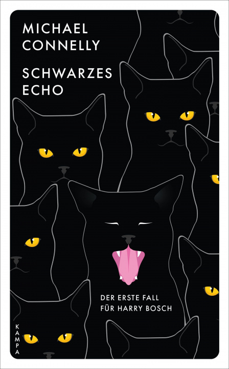 Book Schwarzes Echo Jörn Ingwersen
