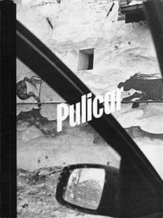 Book Pulicar Jaroslav Pulicar