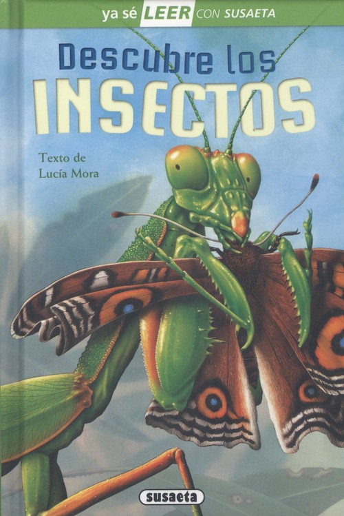 Książka Descubre los insectos LUCIA MORA