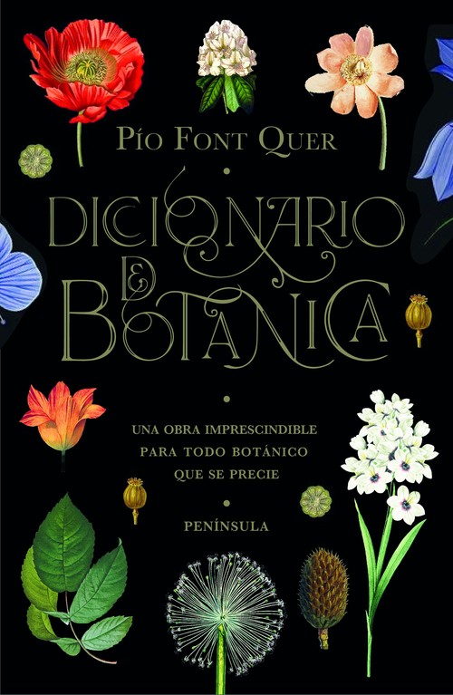 Carte Diccionario de botánica PIO FONT QUER