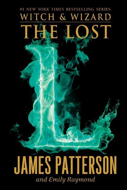 Book The Lost Emily Raymond