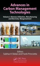Advances in Carbon Management Technologies