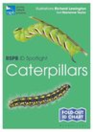 Könyv RSPB ID Spotlight - Caterpillars Marianne Taylor