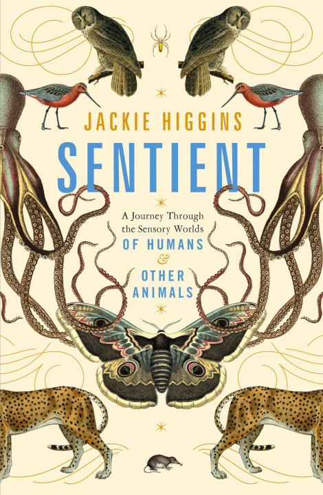 Kniha Sentient Jackie Higgins