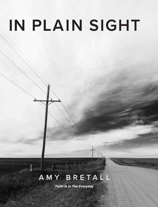 Knjiga In Plain Sight AMY BRETALL