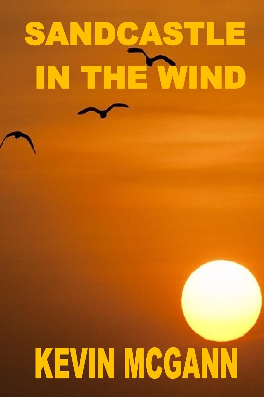 Libro Sandcastle In The Wind MCGANN