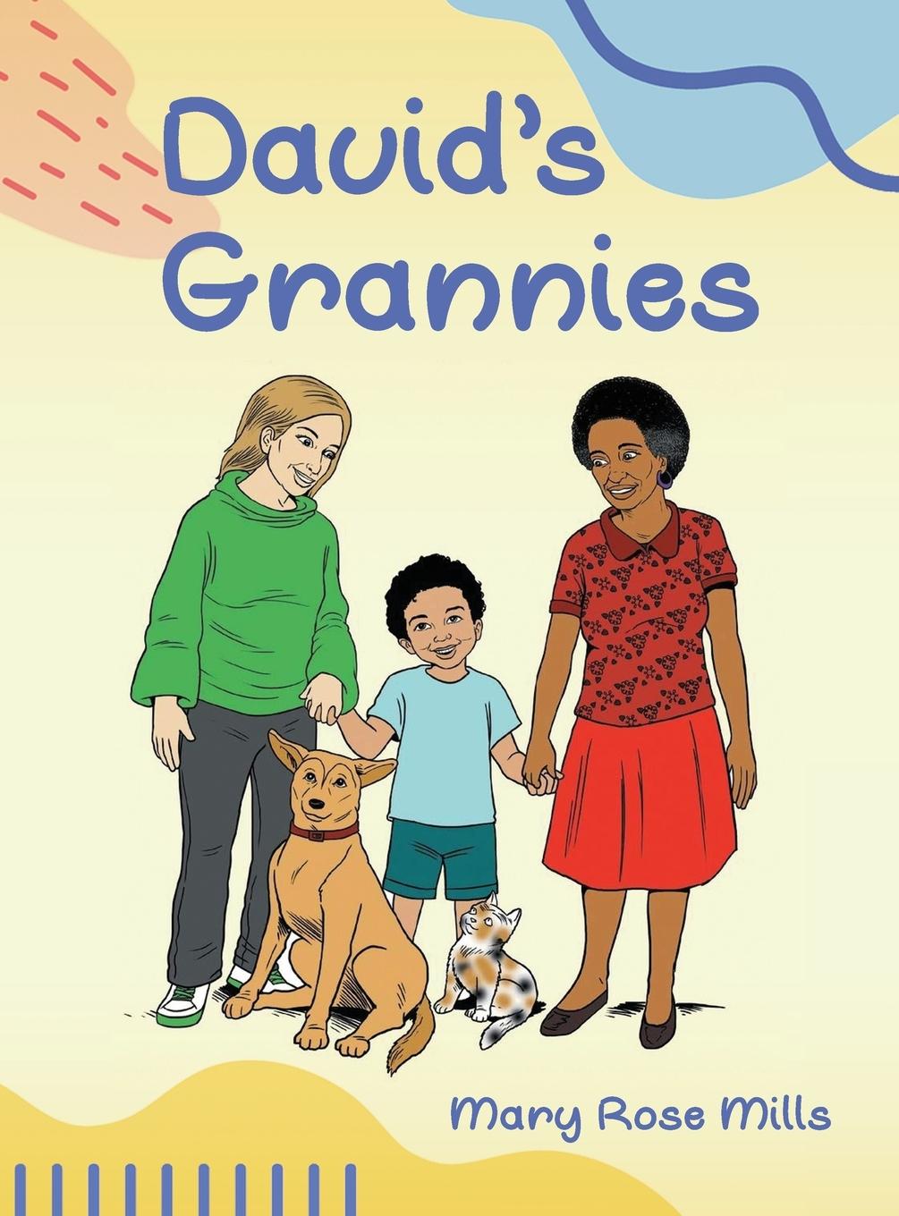 Buch David's Grannies MARY MILLS