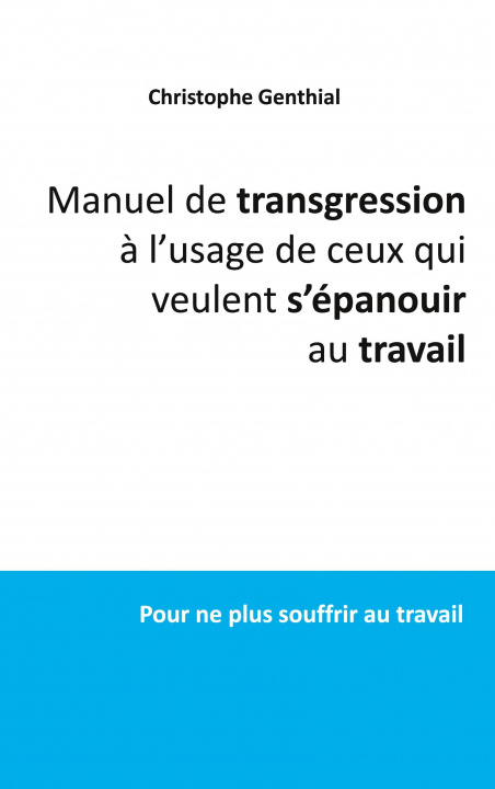 Könyv Manuel de transgression a l'usage de ceux qui veulent s'epanouir au travail 