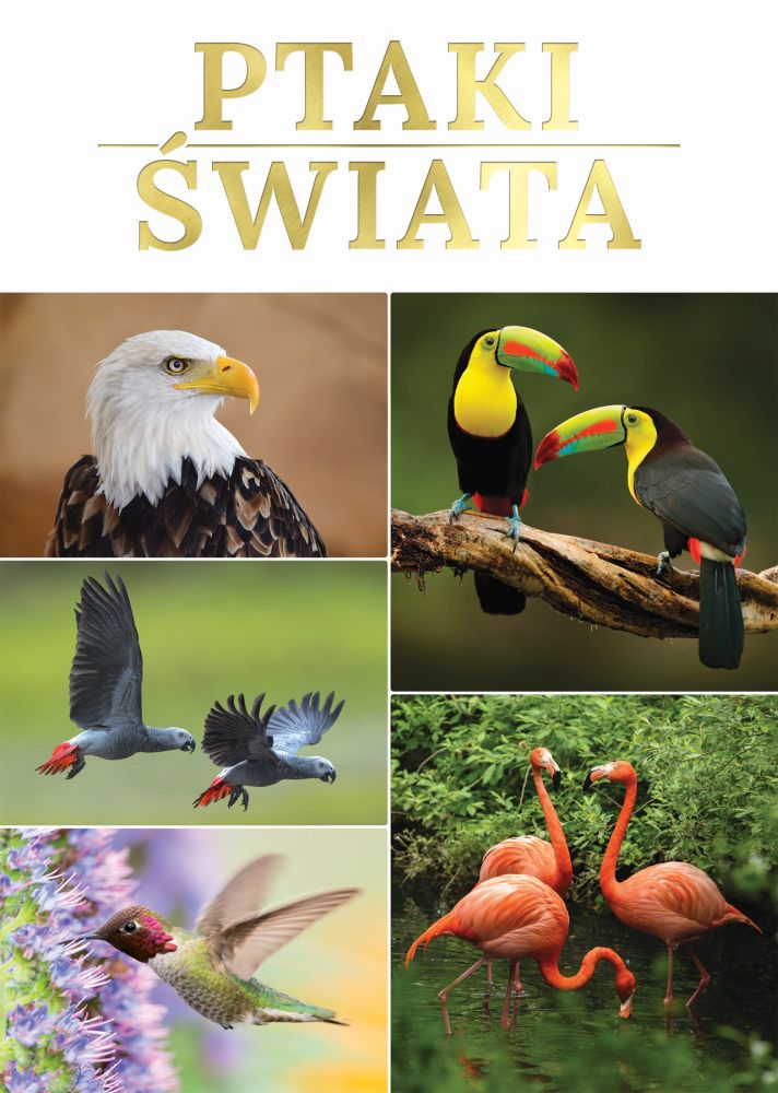 Buch Ptaki świata Opracowanie zbiorowe