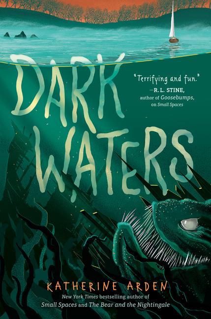 Kniha Dark Waters 