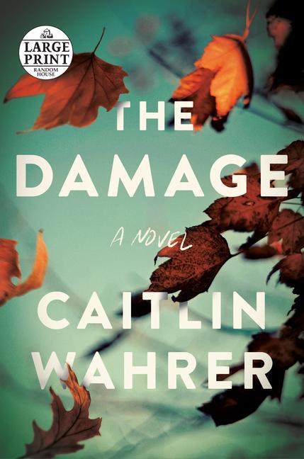 Libro Damage 