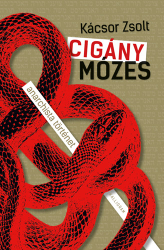 Buch Cigány Mózes Kácsor Zsolt