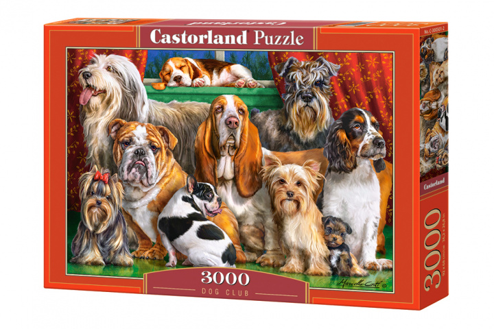 Hra/Hračka Puzzle 3000 Klub psa C-300501-2 