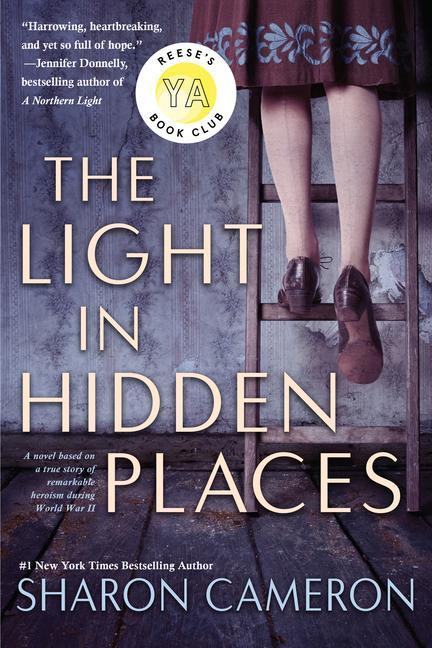 Книга Light in Hidden Places 