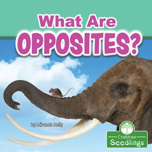Libro What Are Opposites? 