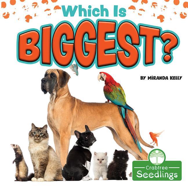 Boek Which Is Biggest? 