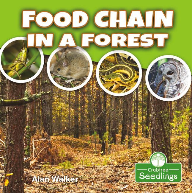 Kniha Food Chain in a Forest 