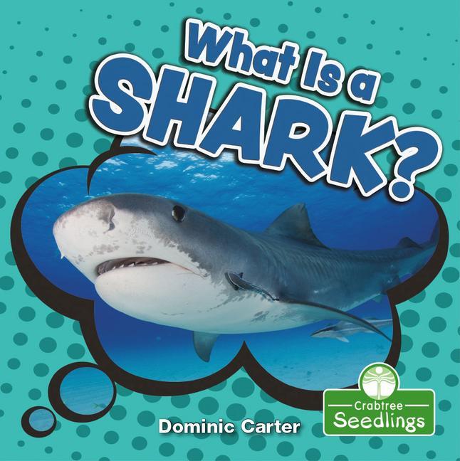 Buch What Is a Shark? Dominic Carter