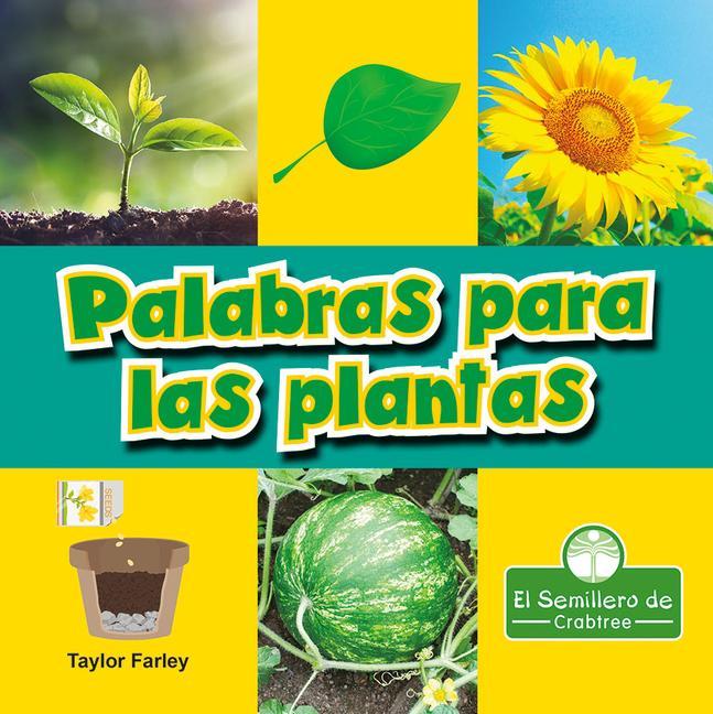 Könyv Palabras Para Las Plantas (Plant Words) Pablo De La Vega