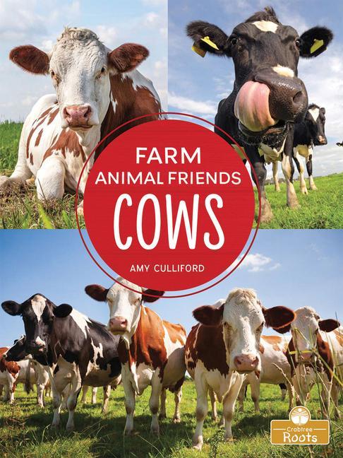 Knjiga Cows Amy Culliford