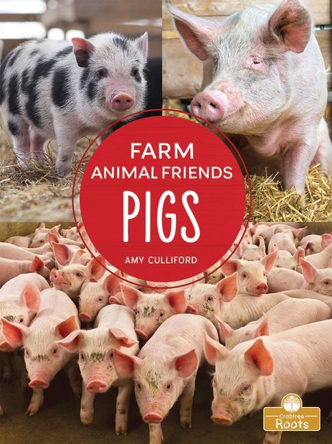 Buch Pigs Amy Culliford