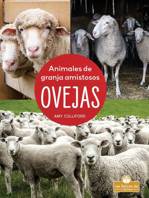 Boek Ovejas (Sheep) Pablo De La Vega