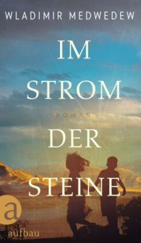 Kniha Im Strom der Steine Helmut Ettinger