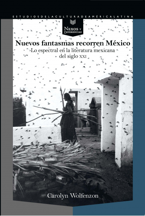 Könyv Nuevos fantasmas recorren México : lo espectral en la literatura mexicana del siglo XXI 