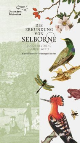 Книга Die Erkundung von Selborne durch Reverend Gilbert White Rolf Schönlau