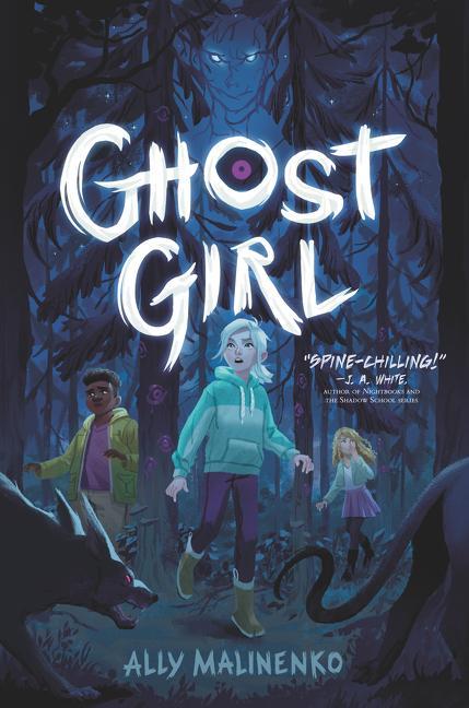 Knjiga Ghost Girl Ally Malinenko