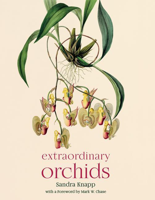 Kniha Extraordinary Orchids Mark W. Chase