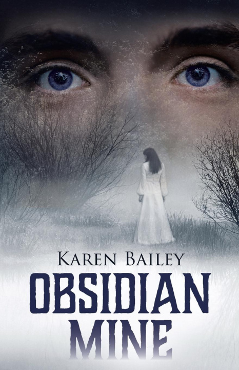 Knjiga Obsidian Mine Karen Bailey