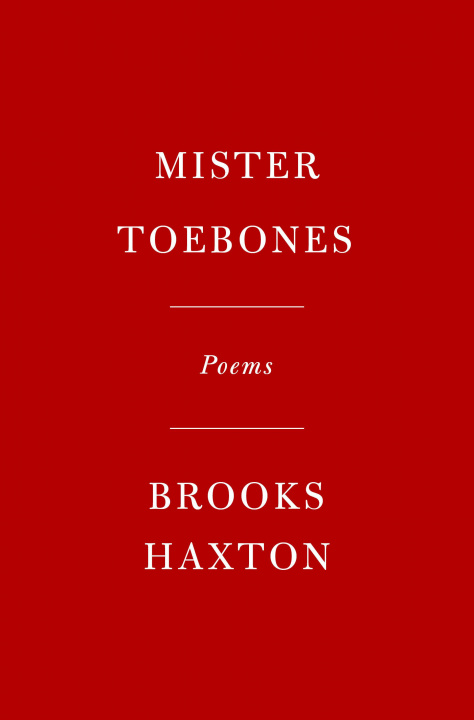 Boek Mister Toebones Brooks Haxton