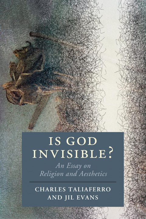 Livro Is God Invisible? Taliaferro