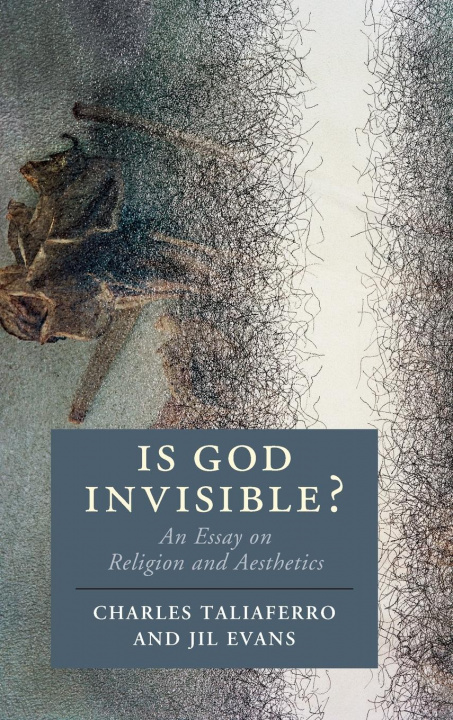Kniha Is God Invisible? Taliaferro