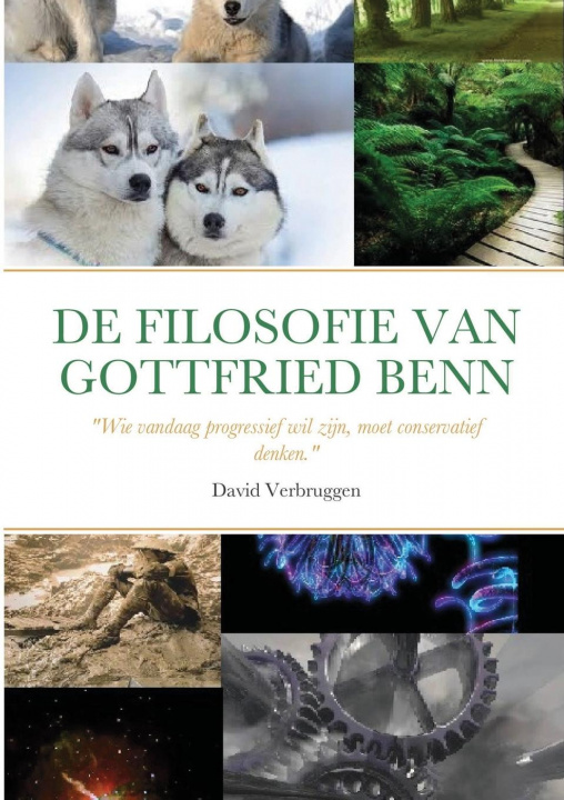 Könyv de Filosofie Van Gottfried Benn (Deel 1) David Verbruggen