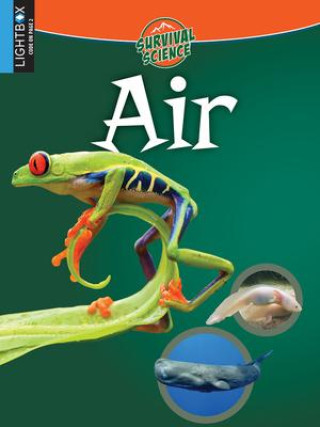 Knjiga Air 