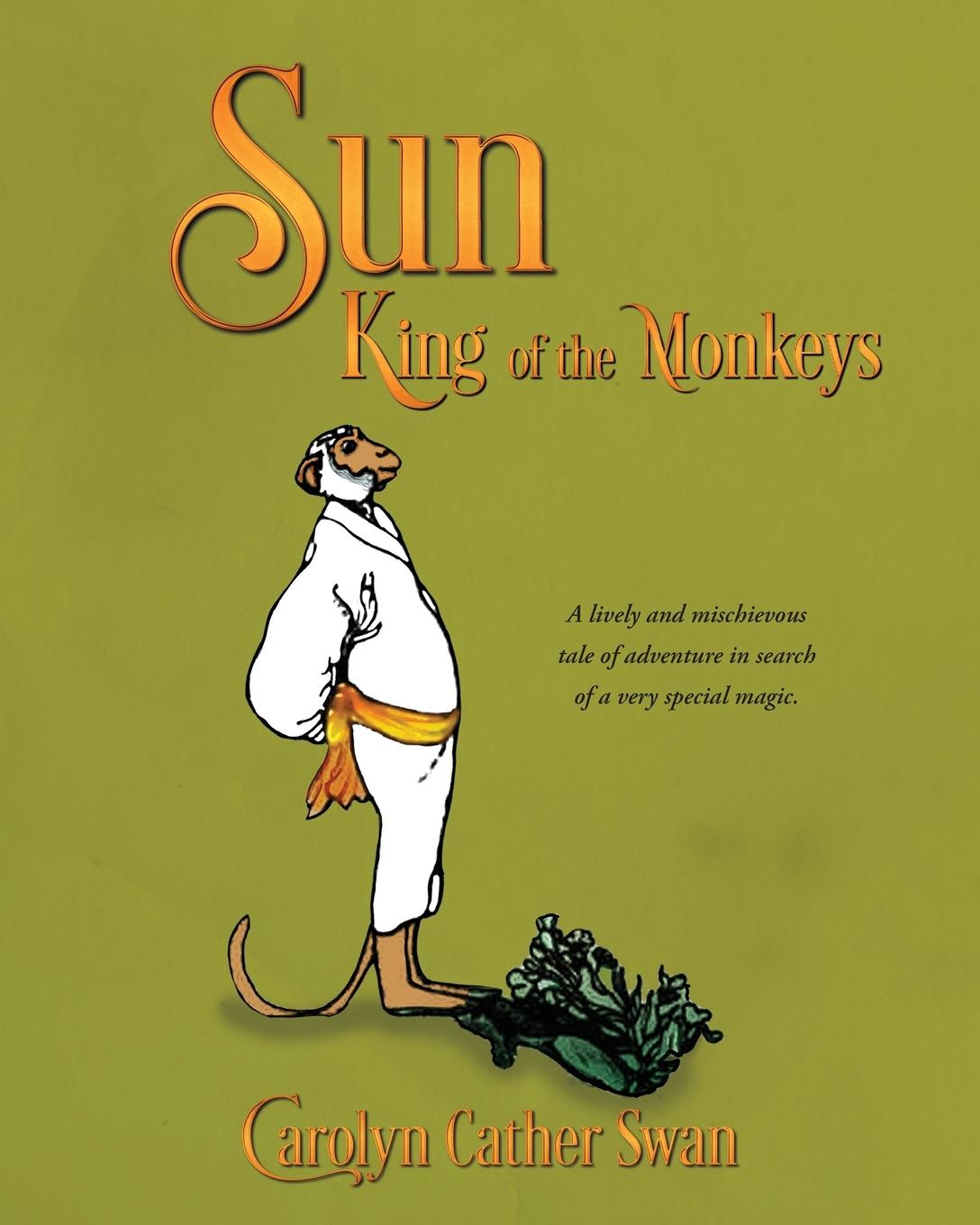 Knjiga Sun Carolyn Cather Swan