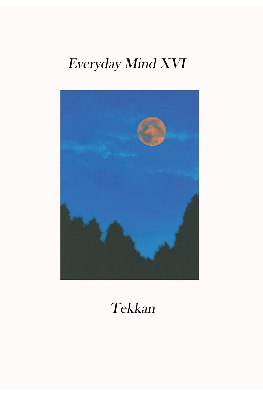 Boek Everyday Mind XVI Tekkan