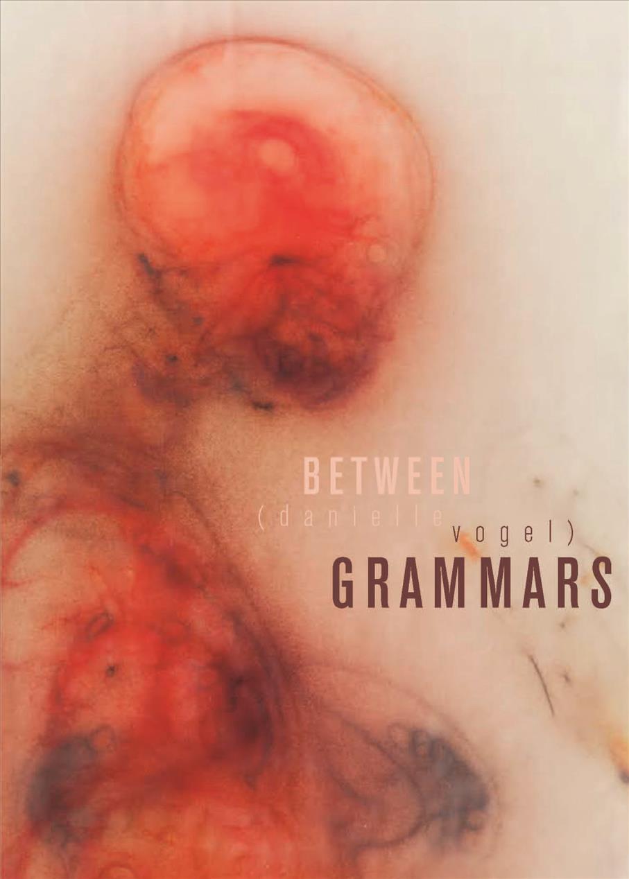 Knjiga Between Grammars Danielle Vogel