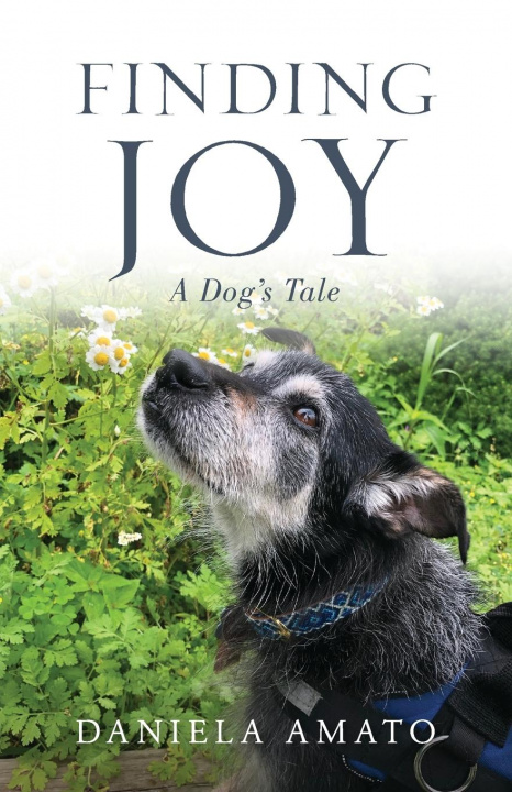 Knjiga Finding Joy Amato Daniela Amato