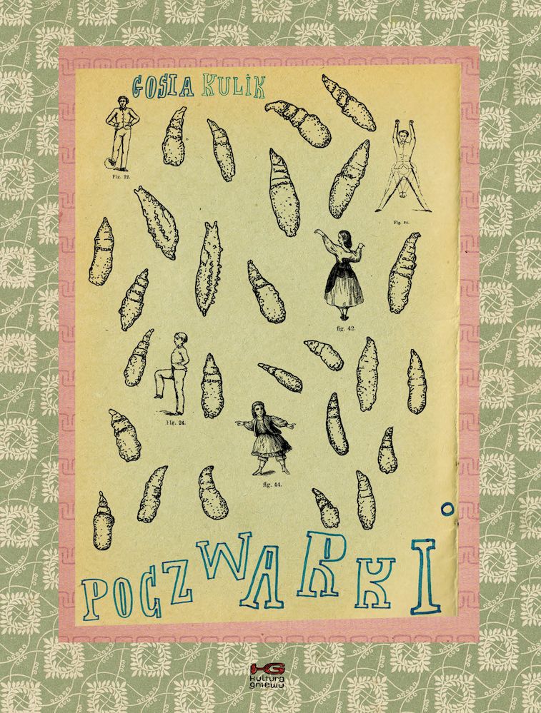 Buch Poczwarki Gosia Kulik