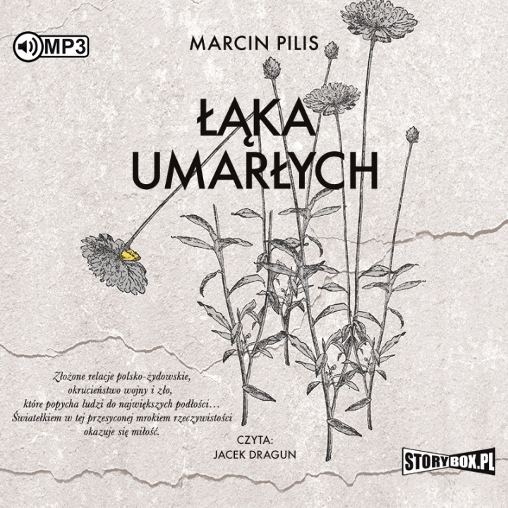 Audiokniha CD MP3 Łąka umarłych Marcin Pilis