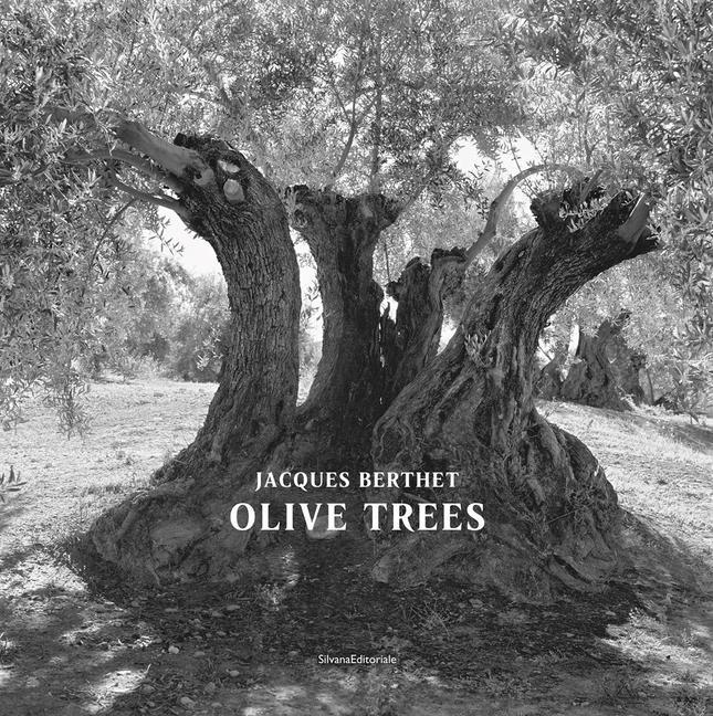 Carte Olive Trees 